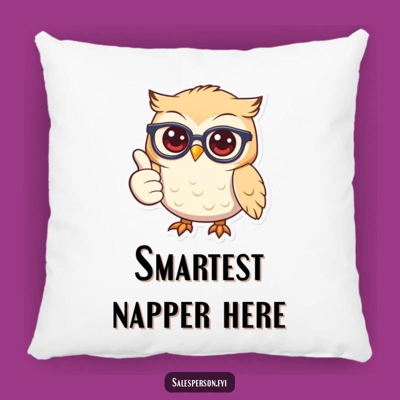 Funny Owl Glasses Pillow: Comfy & Wise, The Perfect Funny Gift Addition